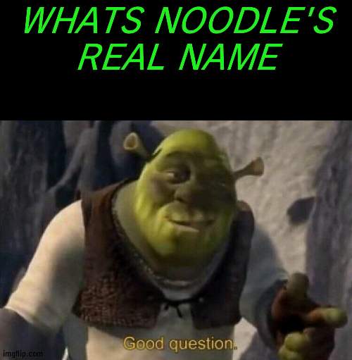 Shrek good question | WHATS NOODLE'S REAL NAME | image tagged in shrek good question | made w/ Imgflip meme maker