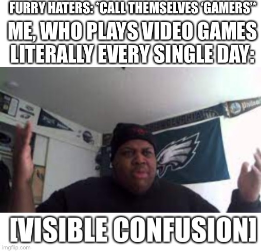 Stereotyping yourselves as ‘gamers’ only gives gamers a bad name | FURRY HATERS: *CALL THEMSELVES ‘GAMERS’*; ME, WHO PLAYS VIDEO GAMES LITERALLY EVERY SINGLE DAY: | image tagged in edp445 visible confusion,videogames,furry,furry memes,gamers,the furry fandom | made w/ Imgflip meme maker