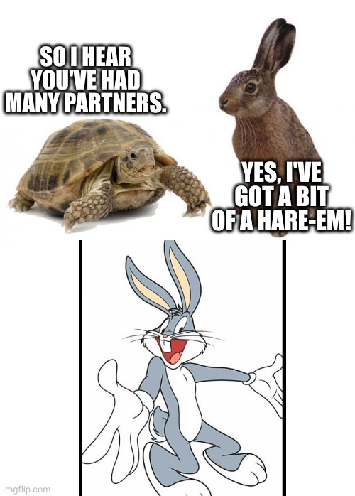 Hare pun | SO I HEAR YOU'VE HAD MANY PARTNERS. YES, I'VE GOT A BIT OF A HARE-EM! | image tagged in tortoise hare | made w/ Imgflip meme maker