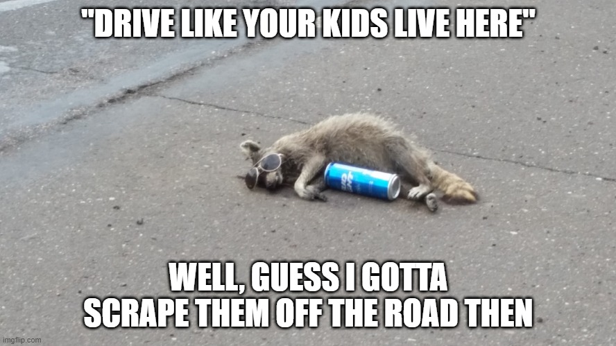 If They Did, They Wouldn't Be on the Damn Road | "DRIVE LIKE YOUR KIDS LIVE HERE"; WELL, GUESS I GOTTA SCRAPE THEM OFF THE ROAD THEN | image tagged in racoon | made w/ Imgflip meme maker