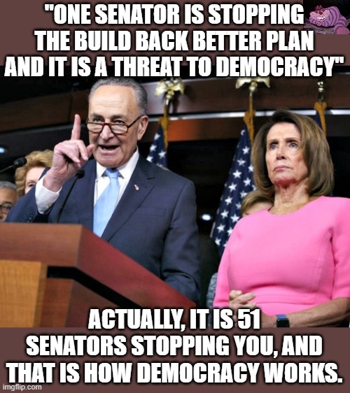 They don't want democracy, they want compliance. | "ONE SENATOR IS STOPPING THE BUILD BACK BETTER PLAN AND IT IS A THREAT TO DEMOCRACY"; ACTUALLY, IT IS 51 SENATORS STOPPING YOU, AND THAT IS HOW DEMOCRACY WORKS. | image tagged in pelosi schumer | made w/ Imgflip meme maker