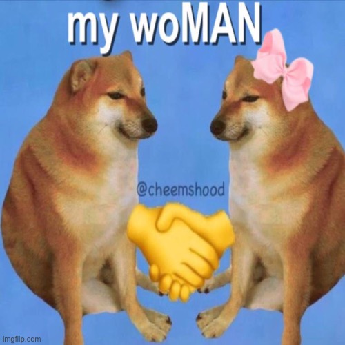 My woMAN | image tagged in my woman,doge | made w/ Imgflip meme maker