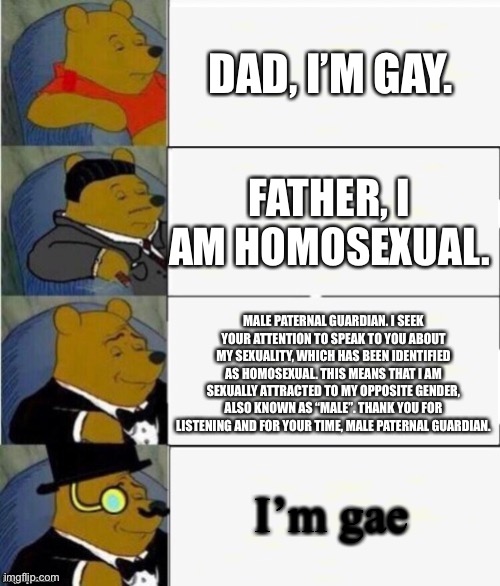 Y r u gae? | DAD, I’M GAY. FATHER, I AM HOMOSEXUAL. MALE PATERNAL GUARDIAN. I SEEK YOUR ATTENTION TO SPEAK TO YOU ABOUT MY SEXUALITY, WHICH HAS BEEN IDENTIFIED AS HOMOSEXUAL. THIS MEANS THAT I AM SEXUALLY ATTRACTED TO MY OPPOSITE GENDER, ALSO KNOWN AS “MALE”. THANK YOU FOR LISTENING AND FOR YOUR TIME, MALE PATERNAL GUARDIAN. I’m gae | image tagged in tuxedo winnie the pooh 4 panel | made w/ Imgflip meme maker