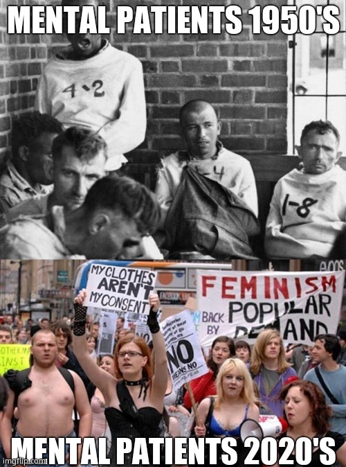 Mental then Vs now | MENTAL PATIENTS 1950'S; MENTAL PATIENTS 2020'S | image tagged in memes,dark humor,feminism,mental illness,funny memes | made w/ Imgflip meme maker