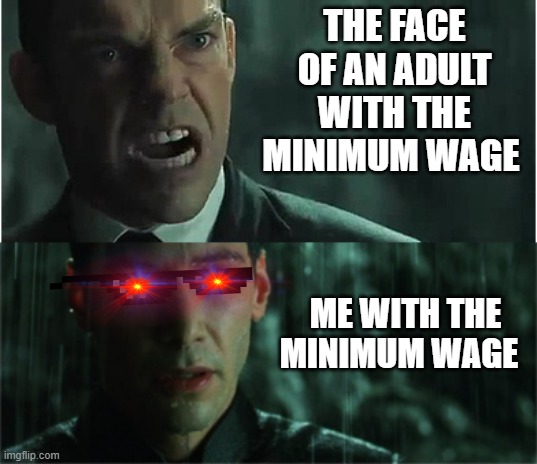 The wage | THE FACE OF AN ADULT WITH THE MINIMUM WAGE; ME WITH THE MINIMUM WAGE | image tagged in why mr anderson | made w/ Imgflip meme maker