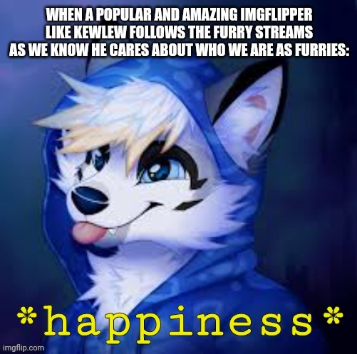 Furry happiness | WHEN A POPULAR AND AMAZING IMGFLIPPER LIKE KEWLEW FOLLOWS THE FURRY STREAMS AS WE KNOW HE CARES ABOUT WHO WE ARE AS FURRIES: | image tagged in furry happiness | made w/ Imgflip meme maker