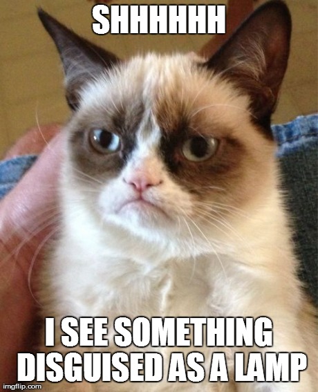 Grumpy Cat Meme | SHHHHHH I SEE SOMETHING DISGUISED AS A LAMP | image tagged in memes,grumpy cat | made w/ Imgflip meme maker