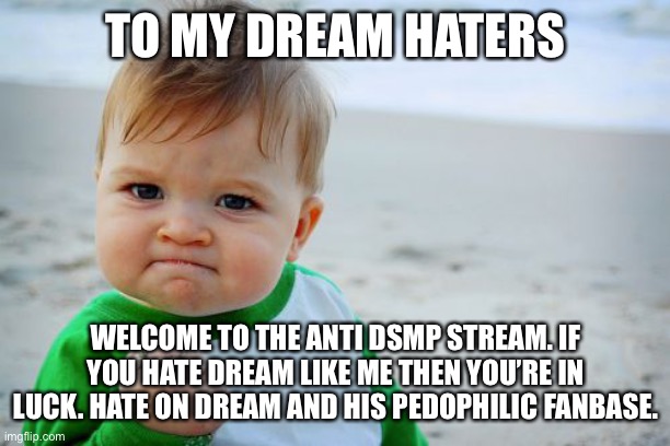 Success Kid Original Meme | TO MY DREAM HATERS; WELCOME TO THE ANTI DSMP STREAM. IF YOU HATE DREAM LIKE ME THEN YOU’RE IN LUCK. HATE ON DREAM AND HIS PEDOPHILIC FANBASE. | image tagged in memes,success kid original | made w/ Imgflip meme maker