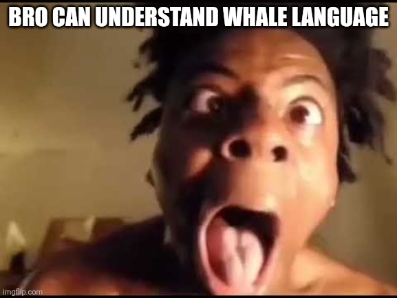 Ishowspeed entering "WHALE MODE" | BRO CAN UNDERSTAND WHALE LANGUAGE | image tagged in memes | made w/ Imgflip meme maker