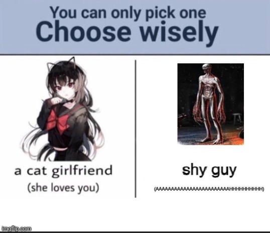 made w/ Imgflip meme maker