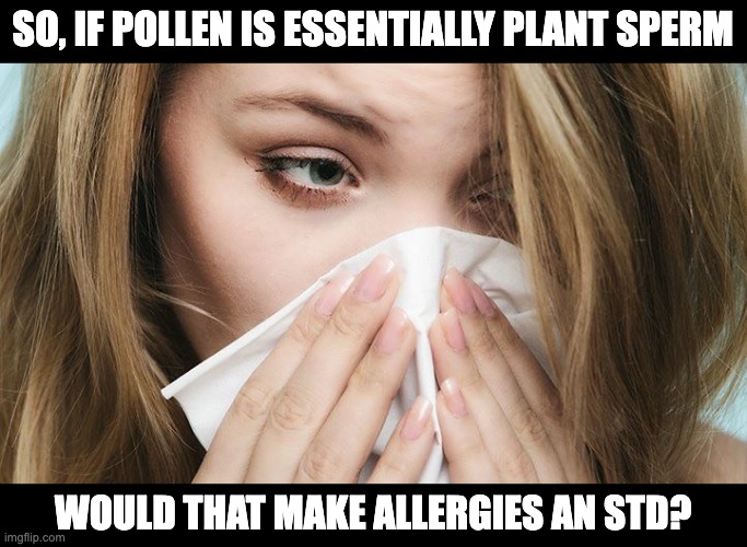 Allergies |  SO, IF POLLEN IS ESSENTIALLY PLANT SPERM; WOULD THAT MAKE ALLERGIES AN STD? | image tagged in allergies | made w/ Imgflip meme maker