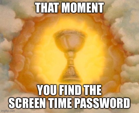 … | THAT MOMENT; YOU FIND THE SCREEN TIME PASSWORD | image tagged in holy grail | made w/ Imgflip meme maker