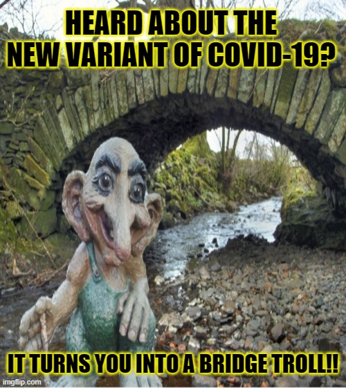 New Covid | HEARD ABOUT THE NEW VARIANT OF COVID-19? IT TURNS YOU INTO A BRIDGE TROLL!! | image tagged in covid-19,troll,funny,current events | made w/ Imgflip meme maker