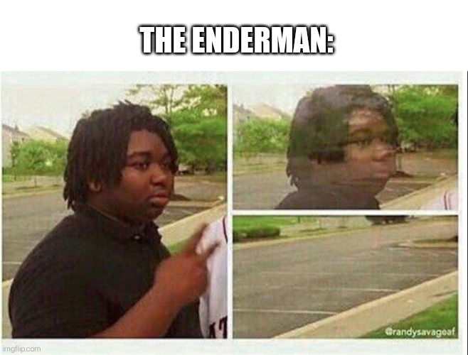 Black guy disappearing | THE ENDERMAN: | image tagged in black guy disappearing | made w/ Imgflip meme maker