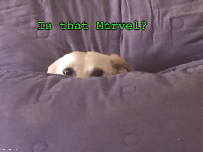 Me when I see someone watching Marvel | Is that Marvel? | image tagged in peek a boo,dog,doggo,when someone is watching marvel | made w/ Imgflip meme maker