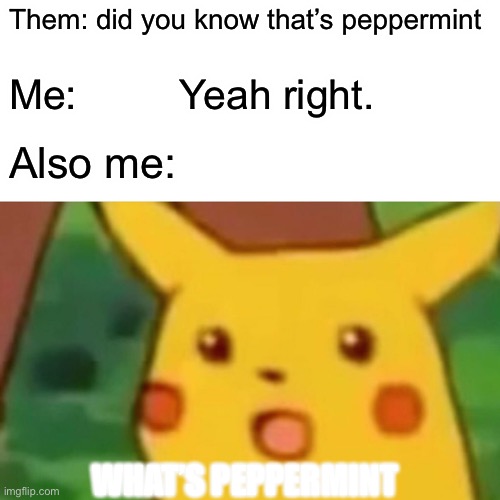 What is peppermint | Them: did you know that’s peppermint; Me:         Yeah right. Also me:; WHAT’S PEPPERMINT | image tagged in memes,surprised pikachu | made w/ Imgflip meme maker