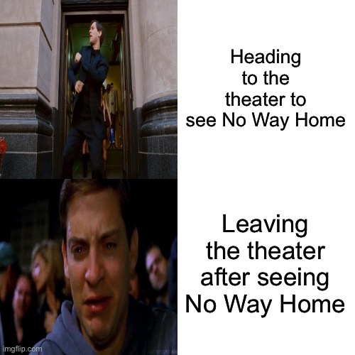 *cries in quackson* | Heading to the theater to see No Way Home; Leaving the theater after seeing No Way Home | image tagged in emo peter happy to sad,no way home,spiderman,peter parker | made w/ Imgflip meme maker