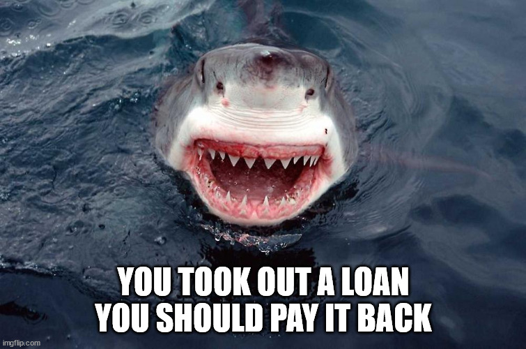 Loan Shark | YOU TOOK OUT A LOAN
YOU SHOULD PAY IT BACK | image tagged in student loan,interest rate | made w/ Imgflip meme maker