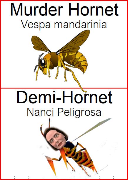 Demi Hornet Blank Meme Template