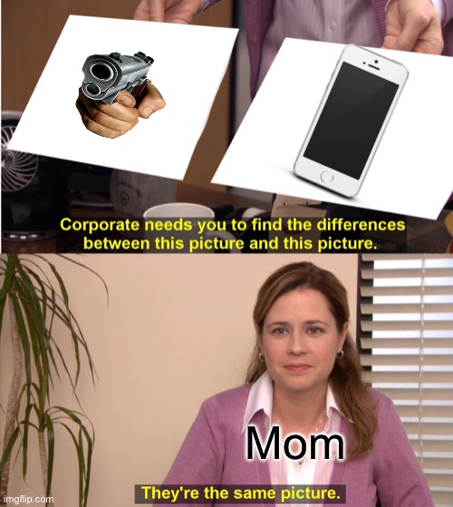 They're The Same Picture | Mom | image tagged in memes,they're the same picture | made w/ Imgflip meme maker