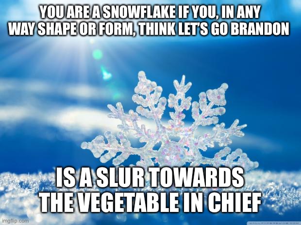 snowflake | YOU ARE A SNOWFLAKE IF YOU, IN ANY WAY SHAPE OR FORM, THINK LET’S GO BRANDON; IS A SLUR TOWARDS THE VEGETABLE IN CHIEF | image tagged in snowflake | made w/ Imgflip meme maker