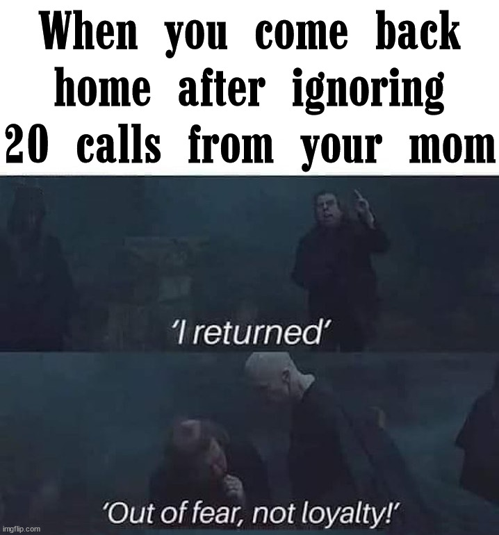 When you try to ignore your mother. |  When you come back home after ignoring 20 calls from your mom | image tagged in mom,ignore,phone call,home | made w/ Imgflip meme maker