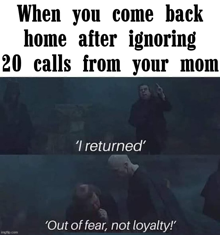 When you try to ignore your mother. | When you come back home after ignoring 20 calls from your mom | image tagged in mom,ignore,phone call,home | made w/ Imgflip meme maker