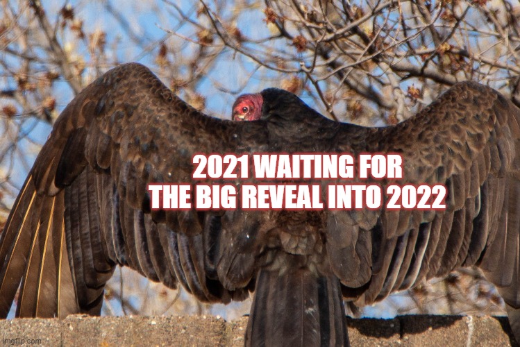 The big reveal | 2021 WAITING FOR THE BIG REVEAL INTO 2022 | image tagged in new year,2021,2022 | made w/ Imgflip meme maker