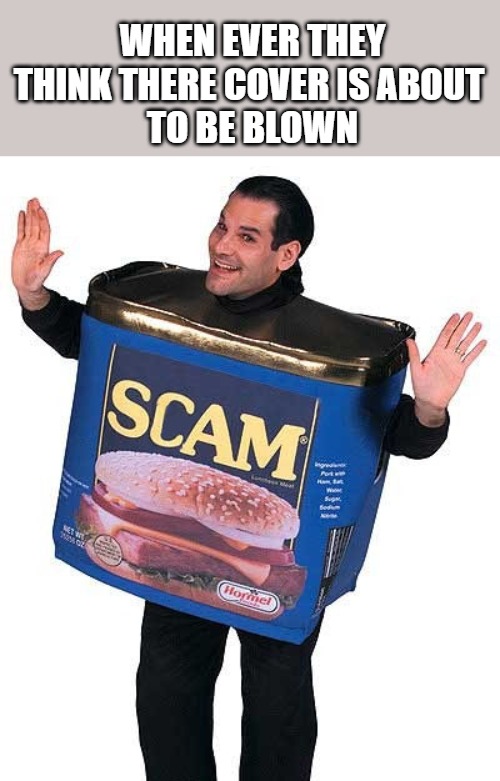 SCREAM FIRST | WHEN EVER THEY THINK THERE COVER IS ABOUT 
TO BE BLOWN | image tagged in scam,meme | made w/ Imgflip meme maker