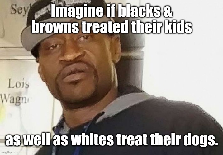 Fentanyl floyd | Imagine if blacks & browns treated their kids as well as whites treat their dogs. | image tagged in fentanyl floyd | made w/ Imgflip meme maker