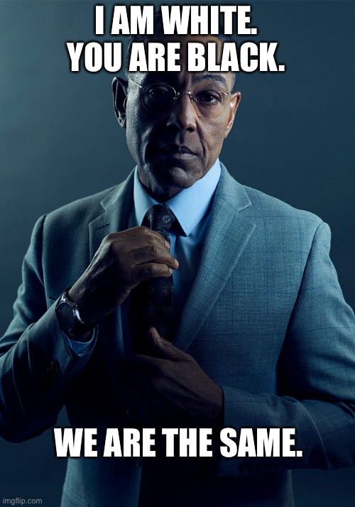 Gus Fring we are not the same | I AM WHITE. YOU ARE BLACK. WE ARE THE SAME. | image tagged in gus fring we are not the same | made w/ Imgflip meme maker