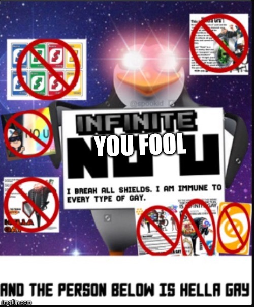 Infinite No U | YOU FOOL | image tagged in infinite no u | made w/ Imgflip meme maker