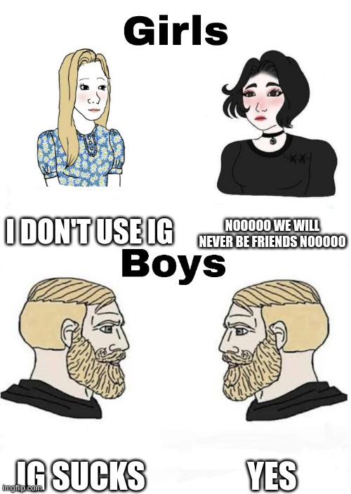 Don't Use IG | I DON'T USE IG; NOOOOO WE WILL NEVER BE FRIENDS NOOOOO; YES; IG SUCKS | image tagged in girls vs boys,instagram | made w/ Imgflip meme maker