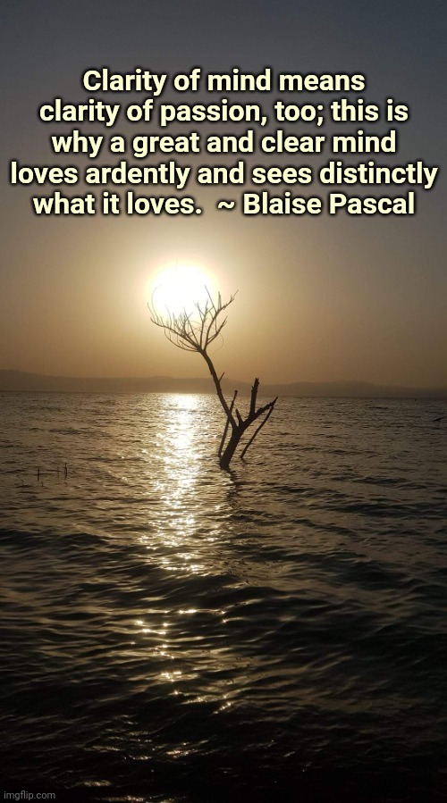 Clarity of Mind | Clarity of mind means clarity of passion, too; this is why a great and clear mind loves ardently and sees distinctly what it loves.  ~ Blaise Pascal | image tagged in water,pascal,positive,clarity | made w/ Imgflip meme maker