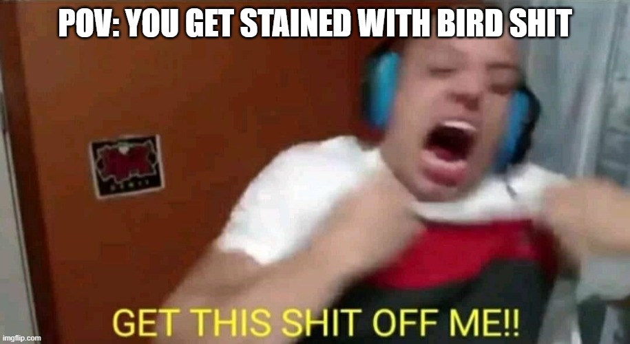 Not clickbait! Gone sexual! | POV: YOU GET STAINED WITH BIRD SHIT | image tagged in tyler1 get this shit off me | made w/ Imgflip meme maker