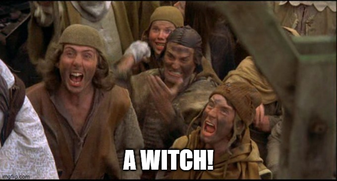 Monty Python witch | A WITCH! | image tagged in monty python witch | made w/ Imgflip meme maker
