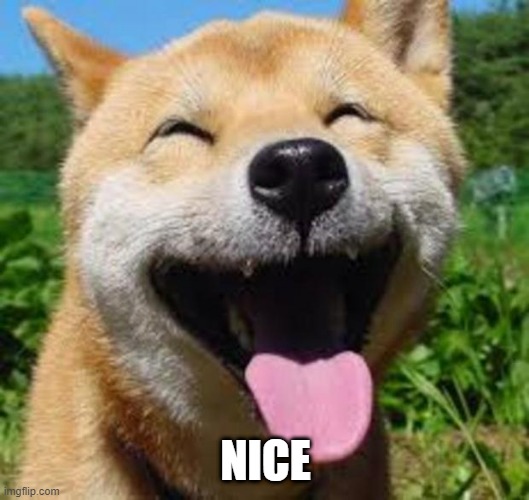 Happy Doge | NICE | image tagged in happy doge | made w/ Imgflip meme maker