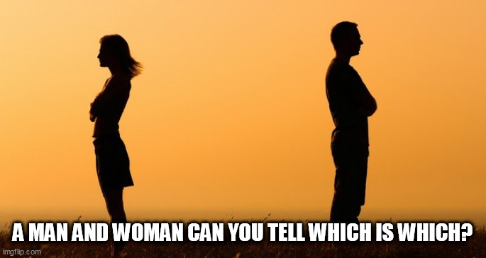 Can you ? | A MAN AND WOMAN CAN YOU TELL WHICH IS WHICH? | image tagged in can you | made w/ Imgflip meme maker