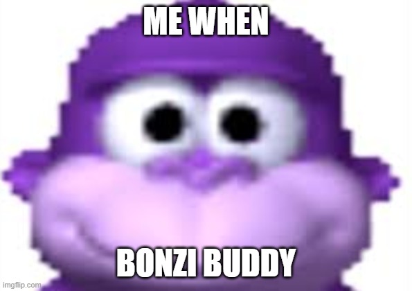 GET YOUR BONZI BUDDY NOW! - Imgflip