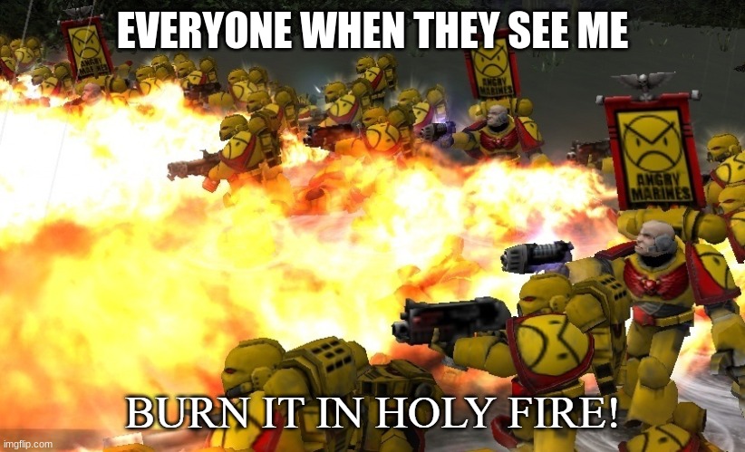 BURN IT IN HOLY FIRE! 2 | EVERYONE WHEN THEY SEE ME | image tagged in burn it in holy fire 2 | made w/ Imgflip meme maker