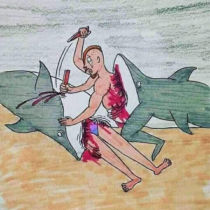 Shark attack love story 7 Blank Meme Template