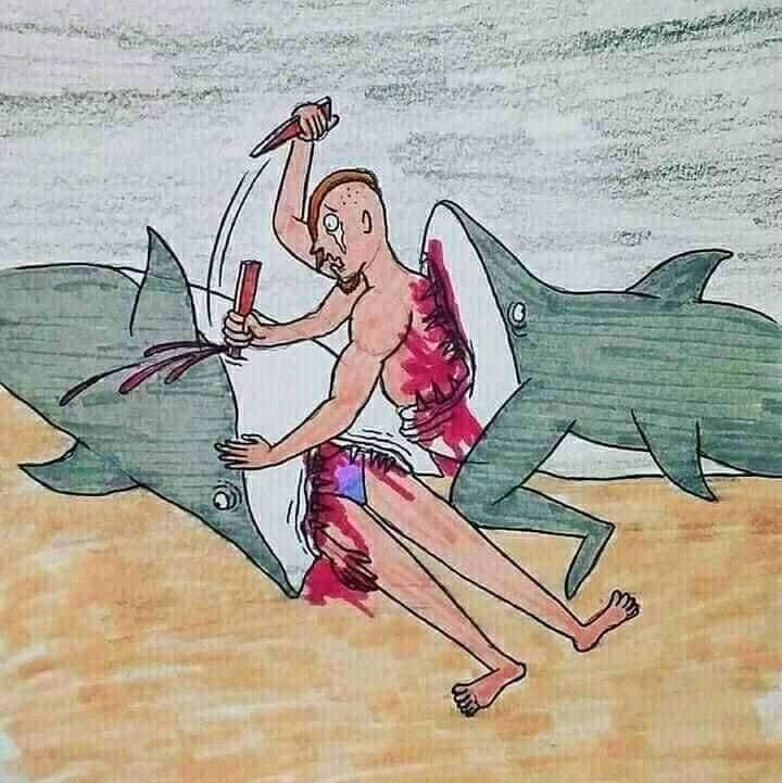 High Quality Shark attack love story 7 Blank Meme Template