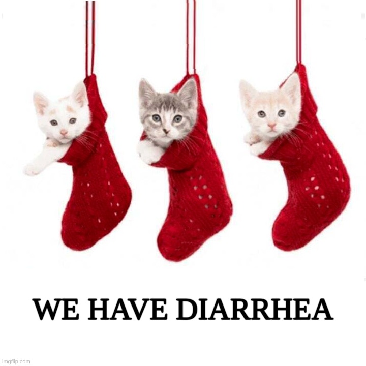 Christmas Kitties | WE HAVE DIARRHEA | image tagged in cats,christmas,diarrhea,poop,messy,what if i told you | made w/ Imgflip meme maker