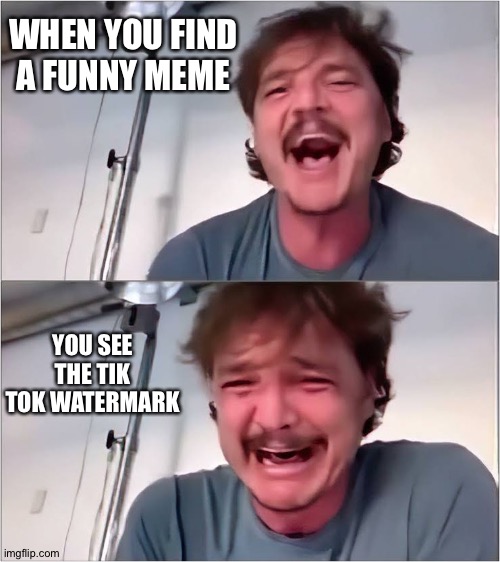 I never realize until it's too late | WHEN YOU FIND A FUNNY MEME; YOU SEE THE TIK TOK WATERMARK | image tagged in pedro pascal | made w/ Imgflip meme maker