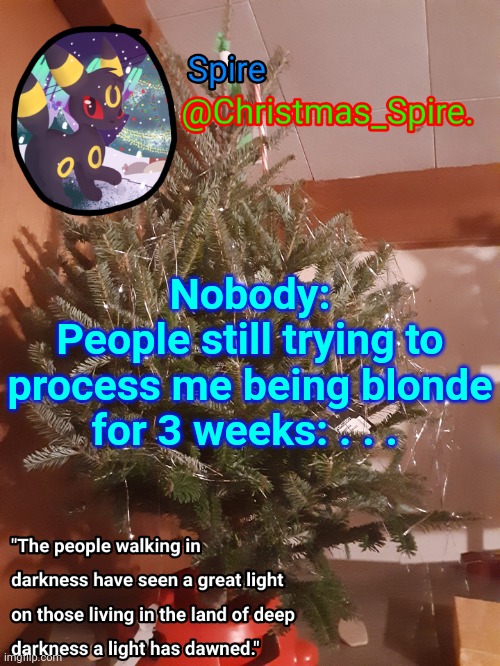 Spire Christmas announcement template | Nobody:
People still trying to process me being blonde for 3 weeks: . . . | image tagged in spire christmas announcement template | made w/ Imgflip meme maker