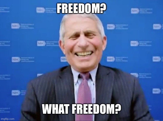 Fauci laughs at the suckers | FREEDOM? WHAT FREEDOM? | image tagged in fauci laughs at the suckers | made w/ Imgflip meme maker