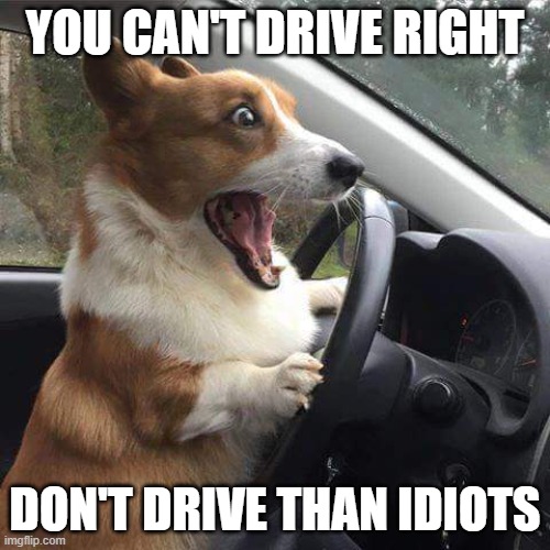 Going road rage | YOU CAN'T DRIVE RIGHT; DON'T DRIVE THAN IDIOTS | image tagged in rage corgi | made w/ Imgflip meme maker