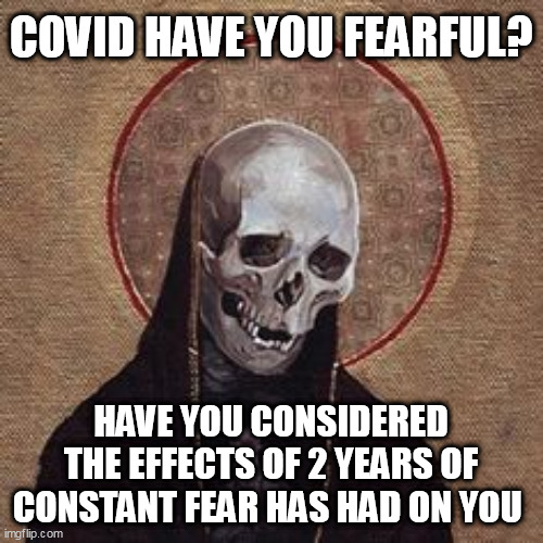 unliving | COVID HAVE YOU FEARFUL? HAVE YOU CONSIDERED THE EFFECTS OF 2 YEARS OF CONSTANT FEAR HAS HAD ON YOU | image tagged in unliving | made w/ Imgflip meme maker