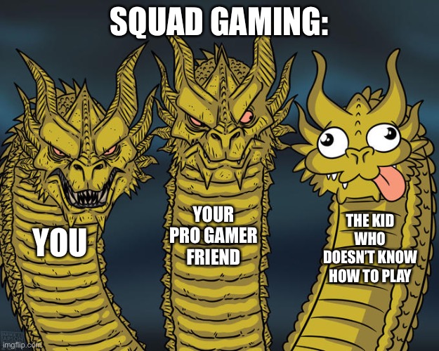 Isn’t this just uniquely relatable? | SQUAD GAMING:; YOUR PRO GAMER FRIEND; THE KID WHO DOESN’T KNOW HOW TO PLAY; YOU | image tagged in three-headed dragon,memes | made w/ Imgflip meme maker