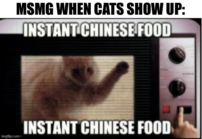 LOL | MSMG WHEN CATS SHOW UP: | image tagged in instant chinese food | made w/ Imgflip meme maker